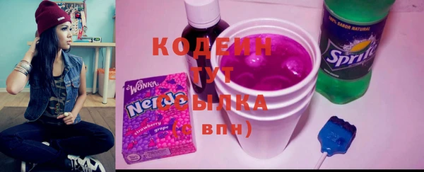 шишки Пестово
