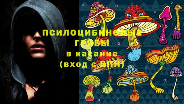 марки lsd Абаза