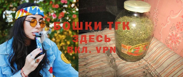 шишки Пестово