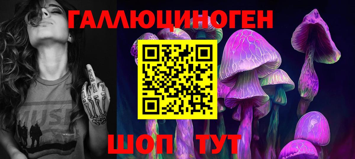 Псилоцибиновые грибы мухоморы Владикавказ