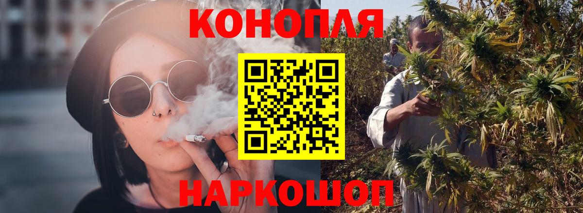 Конопля сатива Владикавказ